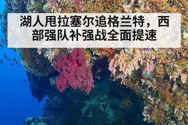 湖人甩拉塞尔追格兰特,西部强队补强战全面提速