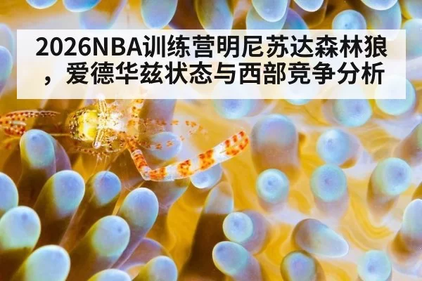 2026NBA训练营明尼苏达森林狼,爱德华兹状态与西部竞争分析